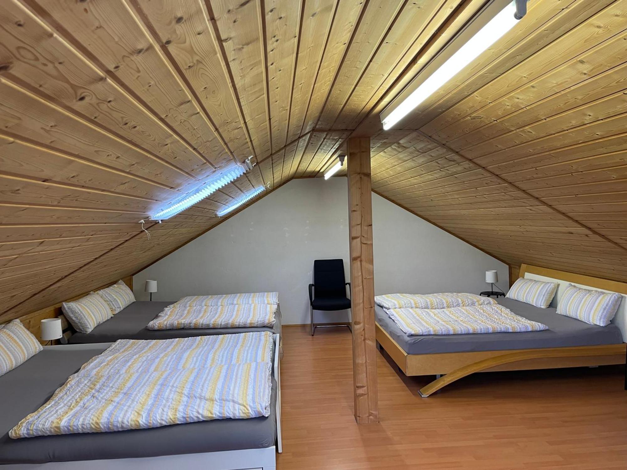 Pino24 Comfort Und Pino24 Petit 할렌버그 외부 사진